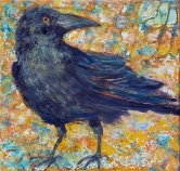 Raven Acrylic