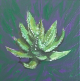 Succulent #5 Acrylic
