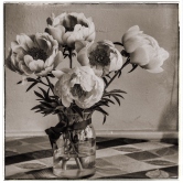 PEONIES IN GREY Photography