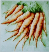 Carrots Watercolor