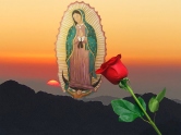 The Apparition of Our Lady of Guadalupe©