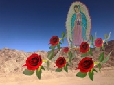 The sign to Juan Diego-Lady of Guadalupe©