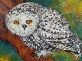 Owlet Acrylic