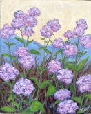 Lavender River Flowers Oil