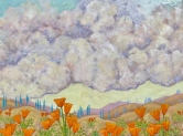 Poppies & Clouds Oil