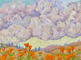 Poppies and Clouds Oil