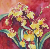 Dancing Laidies Orchid Watercolor