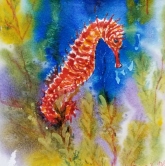 Red Sea Horse Watercolor
