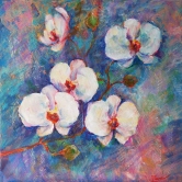 Orchids 2 Acrylic