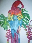 Nami O'Donnell's Green Winged Macaw