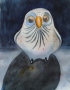 Sonia Tamez's Owl