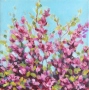 Maeve Croghan's Pink Blossoms