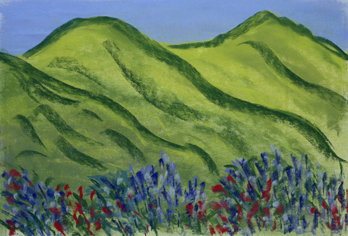 Ventana Hills