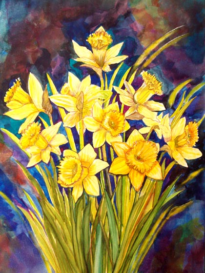 Daffodils from Bibi