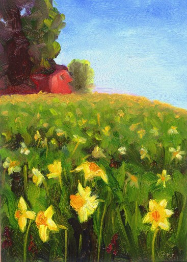 Daffodil hill