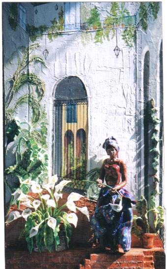 Cala Lily Vendor of Havanna