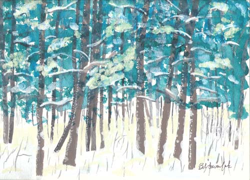 Adirondacks snowy trees, #27