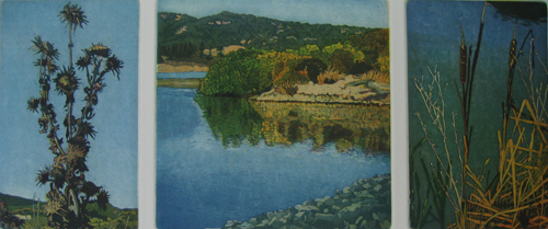 San Rafael Ponds