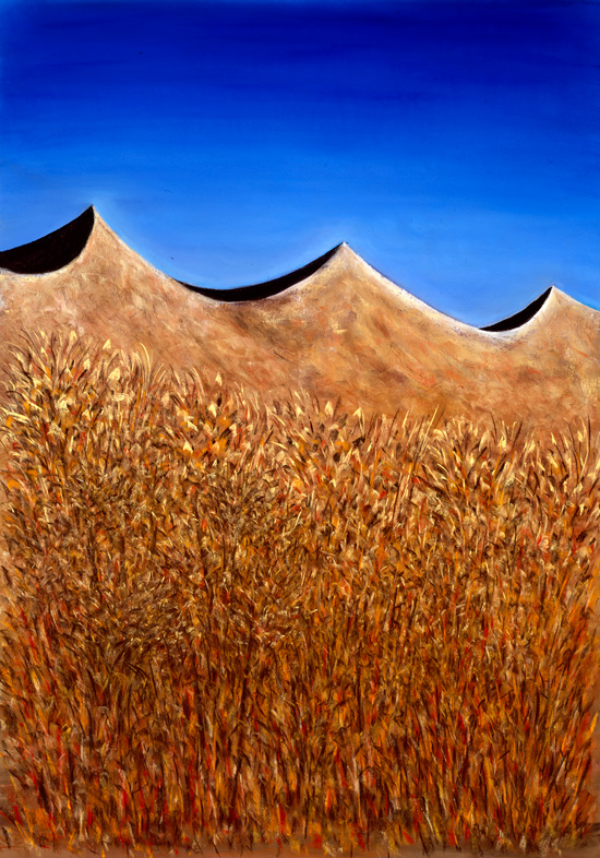 Grassy Dunes