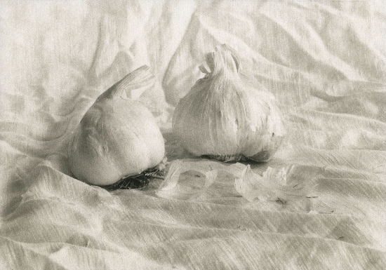 Garlic Cloves on silk