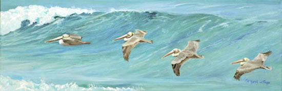 Pelicans Cruise the Surf Line