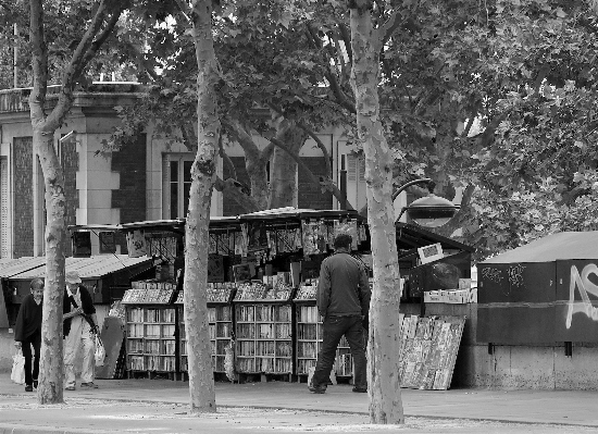 Paris books in the 8th