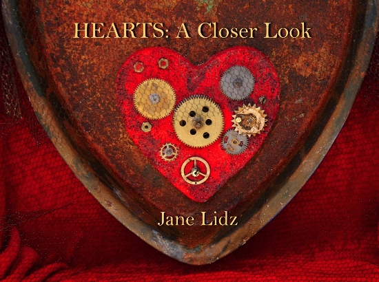 Hearts: A Closer Look by Jane Lidz