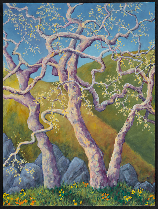 Maeve Croghan's Spring Sycamores