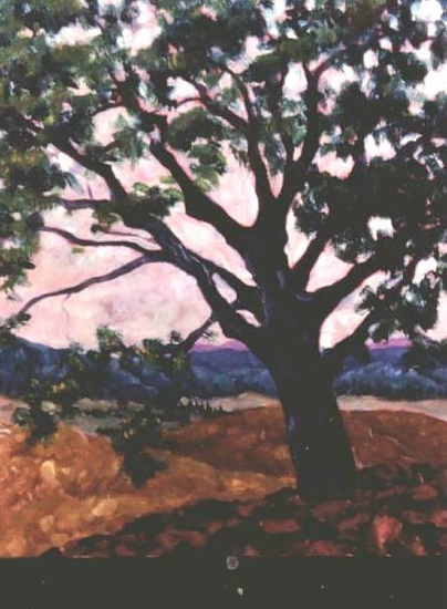 Maeve Croghan's Abbadia Oak
