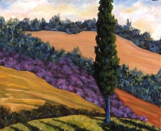 Maeve Croghan's Tuscan Cypress Fields
