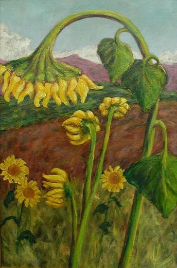 Maeve Croghan's September Sunflowers II