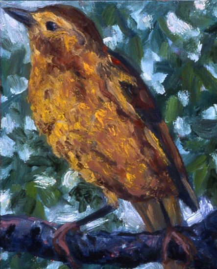 Maeve Croghan's Golden Bird