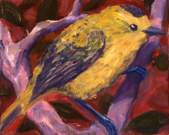 Maeve Croghan's Yellow Warbler