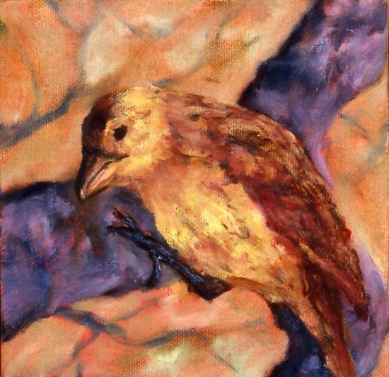 Maeve Croghan's Brown Bird