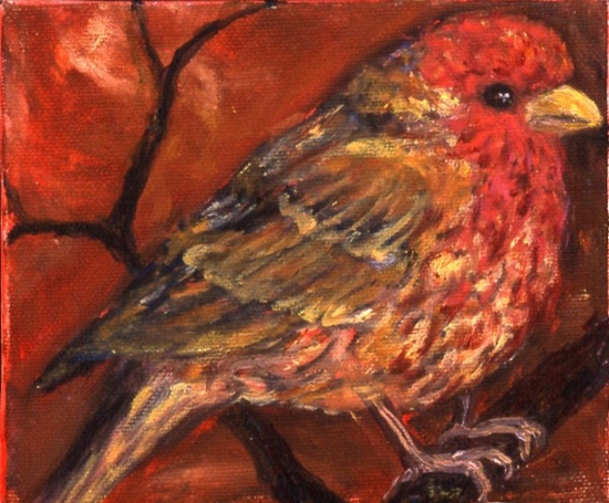 Maeve Croghan's Pink Finch