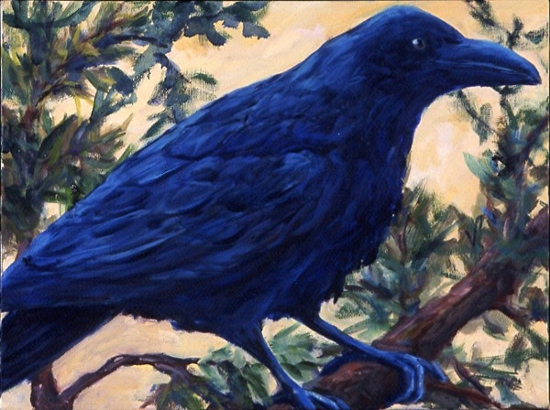 Pine Tree Raven
