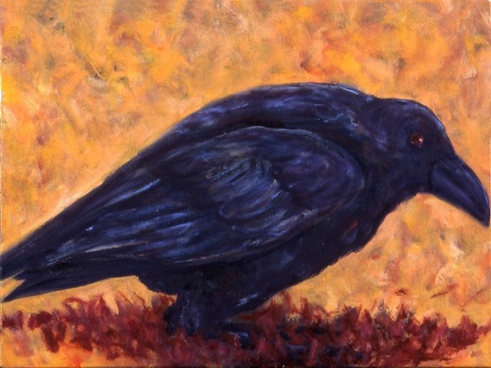 Maeve Croghan's Raven II