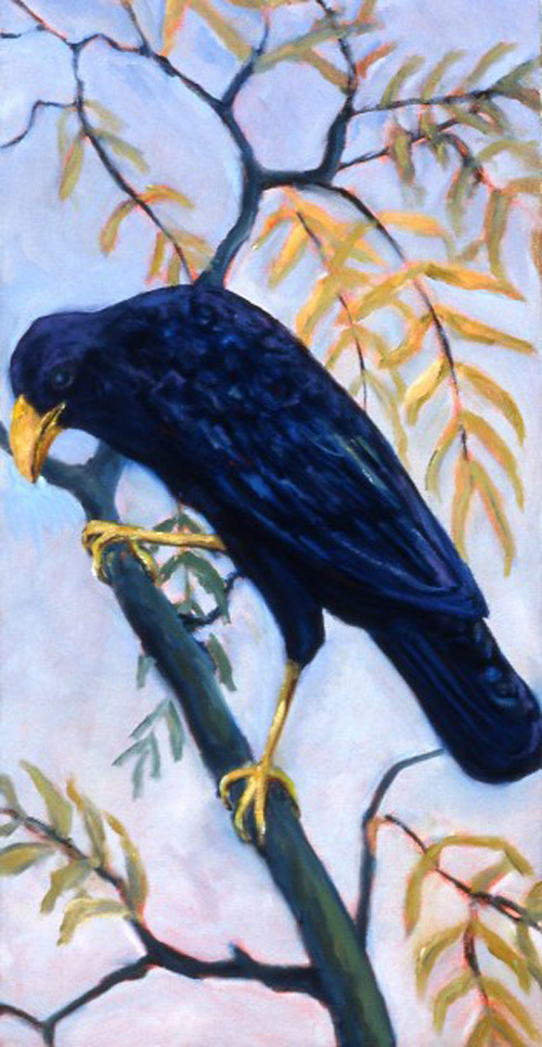 Maeve Croghan's After Audubon Crow