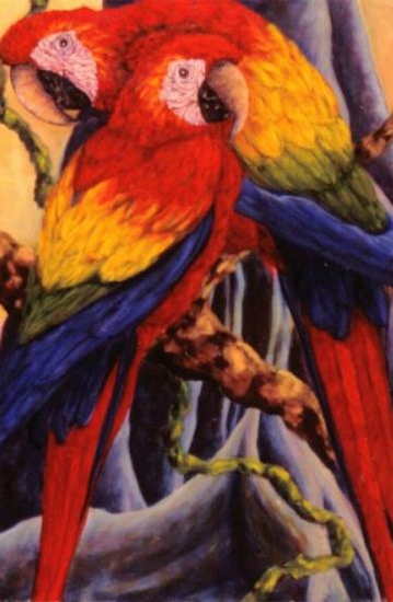 Costa Rican Macaws