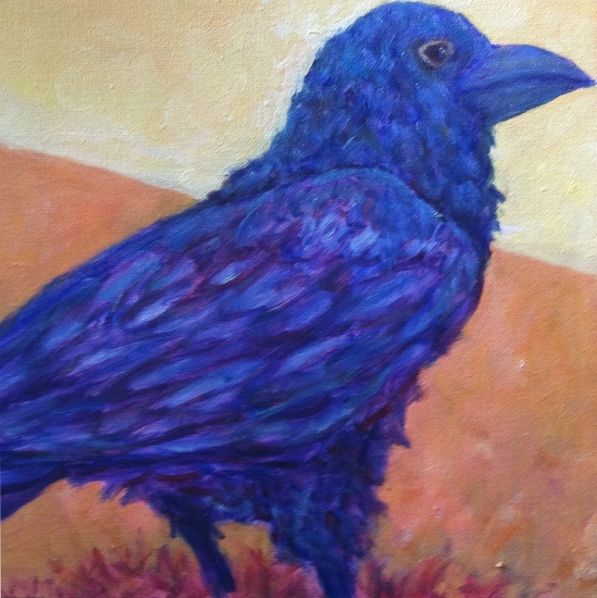 Maeve Croghan's Mexican Raven