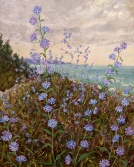 Maeve Croghan's August Chicory