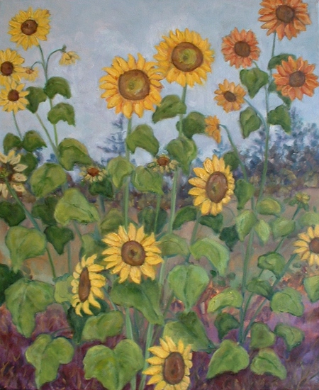 Maeve Croghan's Sunflower Garden