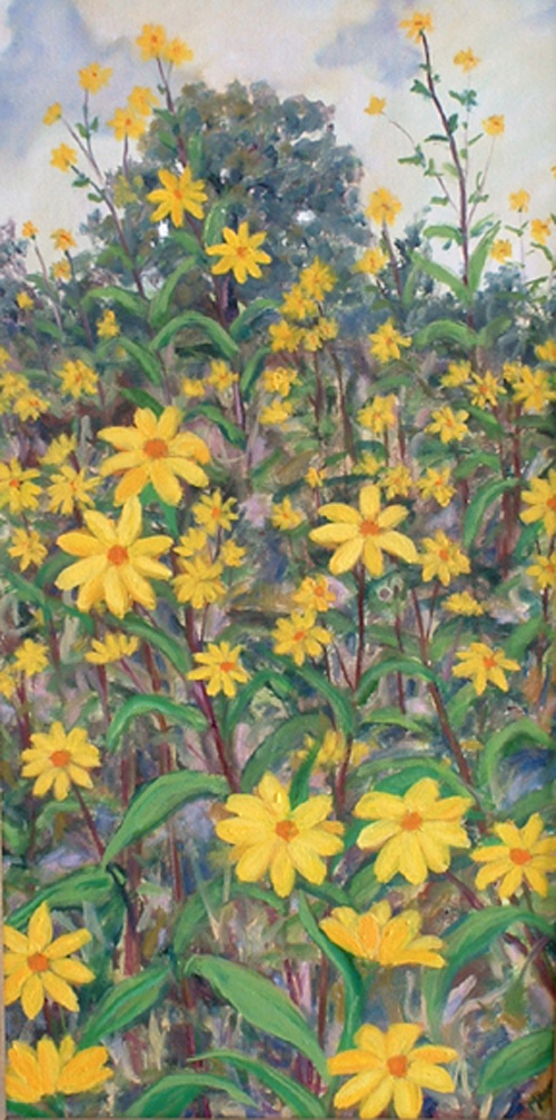 Maeve Croghan's Wild Sunflowers