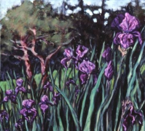Maeve Croghan's Island Iris Garden