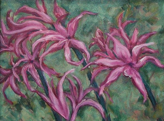 Maeve Croghan's Pink Lillies