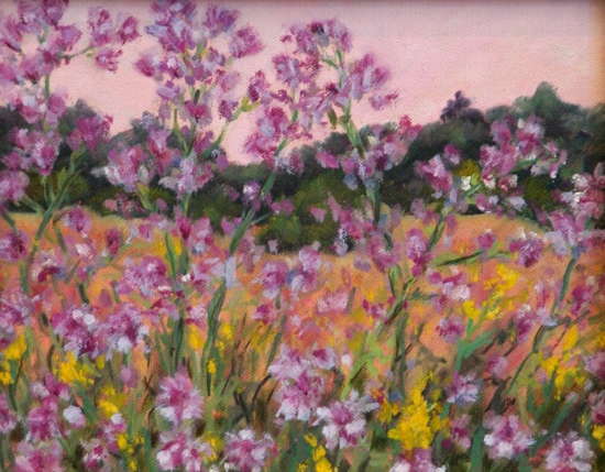 Maeve Croghan's Pink U.P. Flower Field