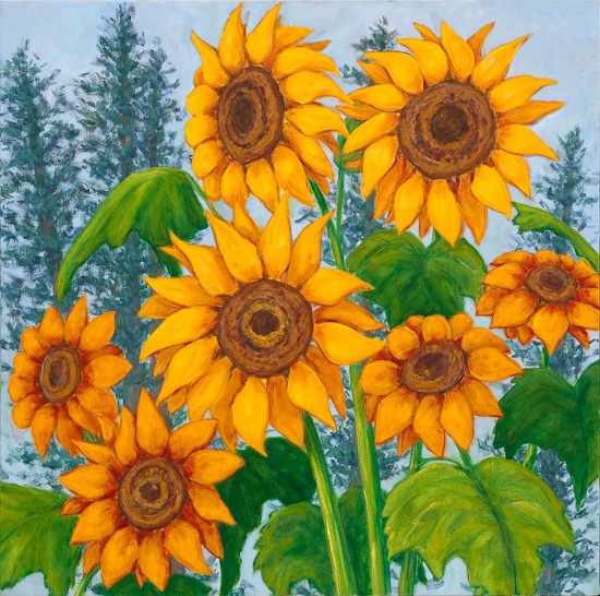 Maeve Croghan's Island Sunflowers