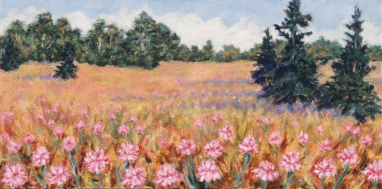Maeve Croghan's Pink U.P. Flower Field