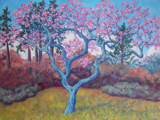 Maeve Croghan's Magnolia