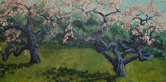 Maeve Croghan's Cherry Trees